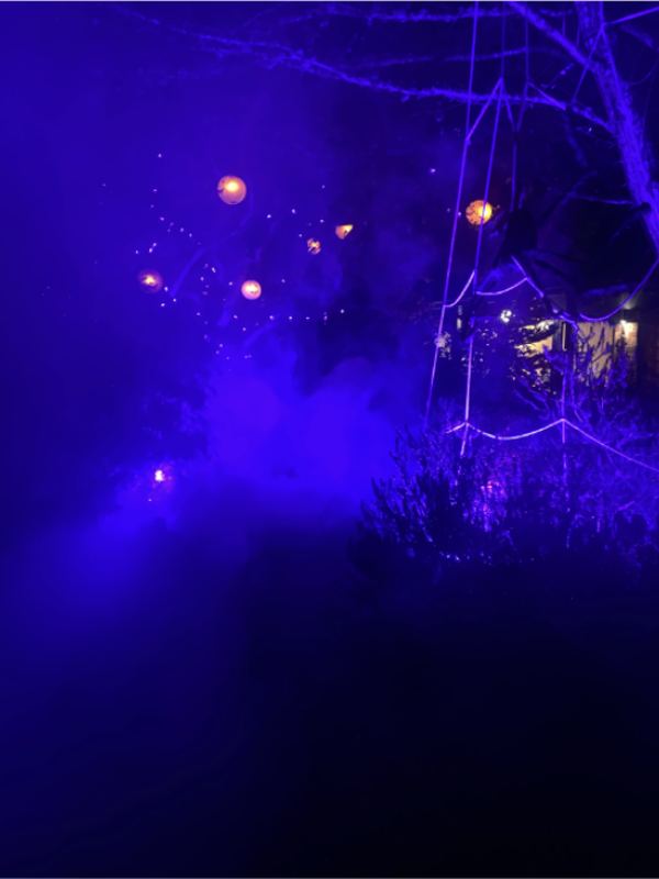 A yard strung with lights and spider webs under deep blue light.