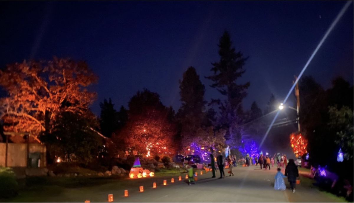 The street at night, lined both sides with lit paper lanterns, trees washed orange and purple, families walking down the middle.